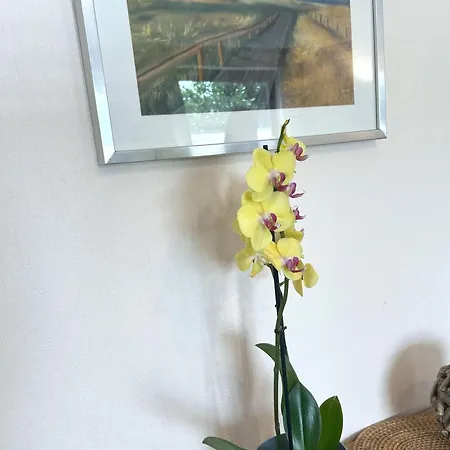 Apartmán Appartement-strandloeper-1-02